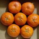 이스탄불딜라이트 2호점 이미지