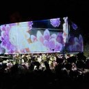 정령의숲 이미지