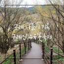 [구례] 햄도랑 철미니 구례산수유꽃축제 방문후기후기(3월15일 개화현황)