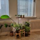 종로정신건강의학과의원 이미지