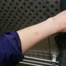 남포동주민센터 이미지