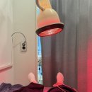 송도랜드마크정형외과의원 이미지