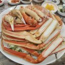 죽도 대게타운 이미지