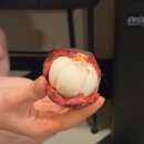 카페해길 | 26.03.02~26.03.15 치앙마이 (5일차)