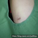 유디트의원 이미지