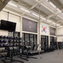 1994 Athlete 이미지