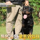 드린겐 애견테마파크 이미지