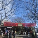 동백카 부분정비 | 제주 카멜리아힐 동백꽃 개화 시기 직접 다녀온 겨울 여행 후기