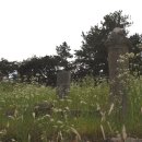 곽망우당묘소 이미지