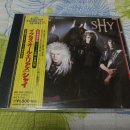 오늘 구입한 음반 SHY ---- EXCESS ALL AERAS 이미지