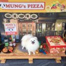 애견스토리 이미지