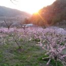 오봉농장 이미지