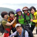 감정초교 이미지