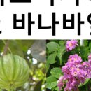 인정온누리약국 - 광진구 뚝섬로 655 | 인정온누리약국