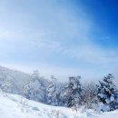 漢拏山 [윗세오름]-하얀천국 이미지
