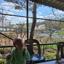 토속정육식당 이미지