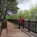 물버들마을 이미지