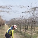 김씨농장 이미지