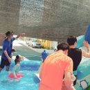 반야월서부교회