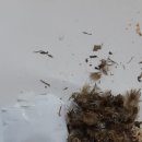 다송농장 이미지