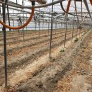 지명농장 이미지