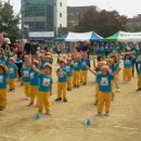 한림가락유치원 이미지