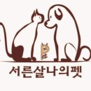 서른살나의펫 네이버블로그