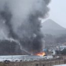 제석농장 이미지