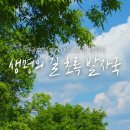 초록발자국 이미지
