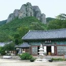 청산 티스토리