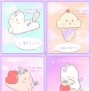 셀라토이즈