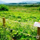 황강생태공원2 이미지