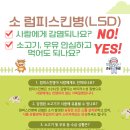 럼피 이미지