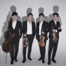 피아니스트노부스