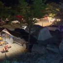 별바라기 이미지