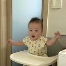 (주)매직큐브 | 내돈내산 이유식식판 후기 - 비마이매직, URVS, 탁가온, 러빗, 잼먹