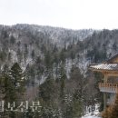 전영우의 사찰 숲 이야기 4. 오대산 진여원의 숲