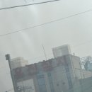인천 계양구 [유진수산] 내돈내산 후기