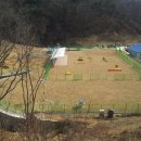 애견운동공원 이미지