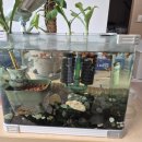 크라우드 PC방 구리갈매점 | 이번 생에 블로그는 처음이라..(2)