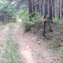 정감이마을 태양광발전소 이미지