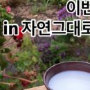게으른모퉁이빵집 이미지