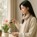 사랑이꽃피는한의원 | 일상 리듬을 찾는 사랑이 꽃피는 한의원 해운대 교통사고입원 정보