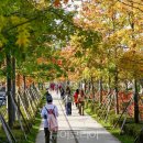 (주)원주서비스 이미지