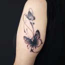 수원-0654 이미지