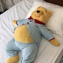 수영구보건소 | 수영구 보건소 백일해 무료접종 후기(소득기준 상관없음)