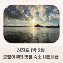 신우수산 | 신진도 여행 | 오징어부터 맛집 숙소까지 내돈내산 후기