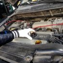 하이카동백점 이미지