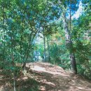 월영마을 이미지