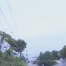 소나무 | &lt;영종도-무의도-소무의인도교&gt; &amp; &#34;소나무식당 영종도점&#34; 후기